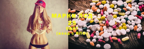 меф Сясьстрой