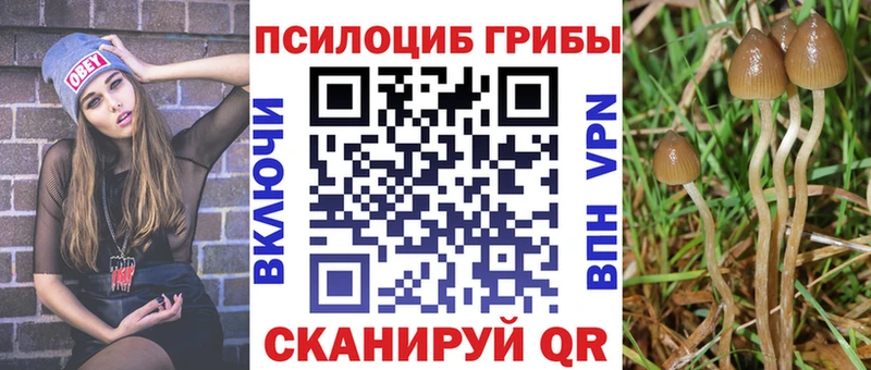 кракен как зайти  Юрьев-Польский  Галлюциногенные грибы прущие грибы  дарнет шоп 